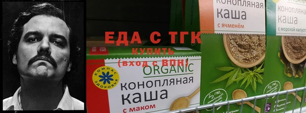 ешки Гатчина