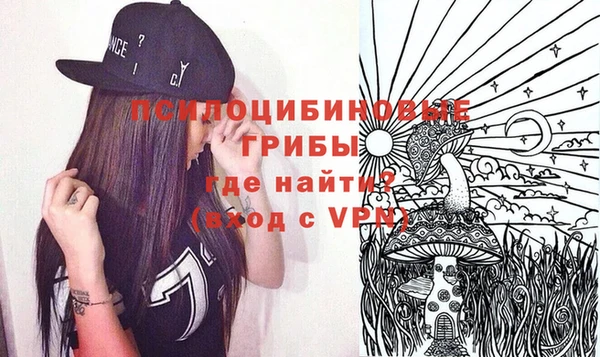 эйфоретик Галич