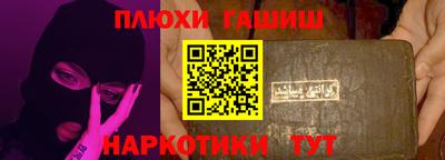 дживик Можга