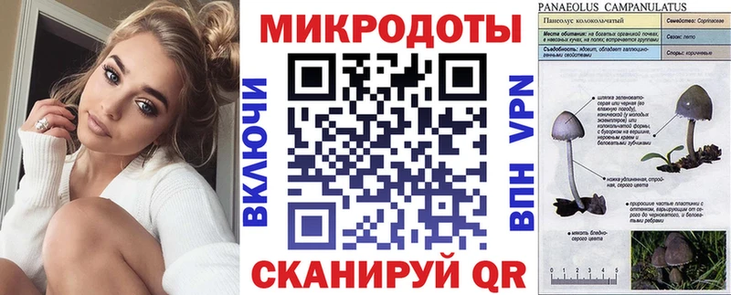 купить наркоту  Кувандык  Галлюциногенные грибы прущие грибы 