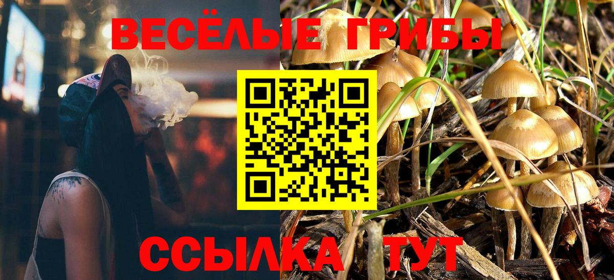Галлюциногенные грибы Psilocybine cubensis  Вход с VPN  Кувандык 